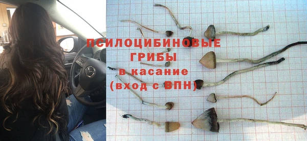 мескалин Бородино