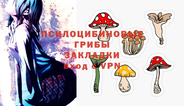 2c-b Богородицк