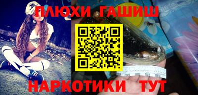 сатива Аргун