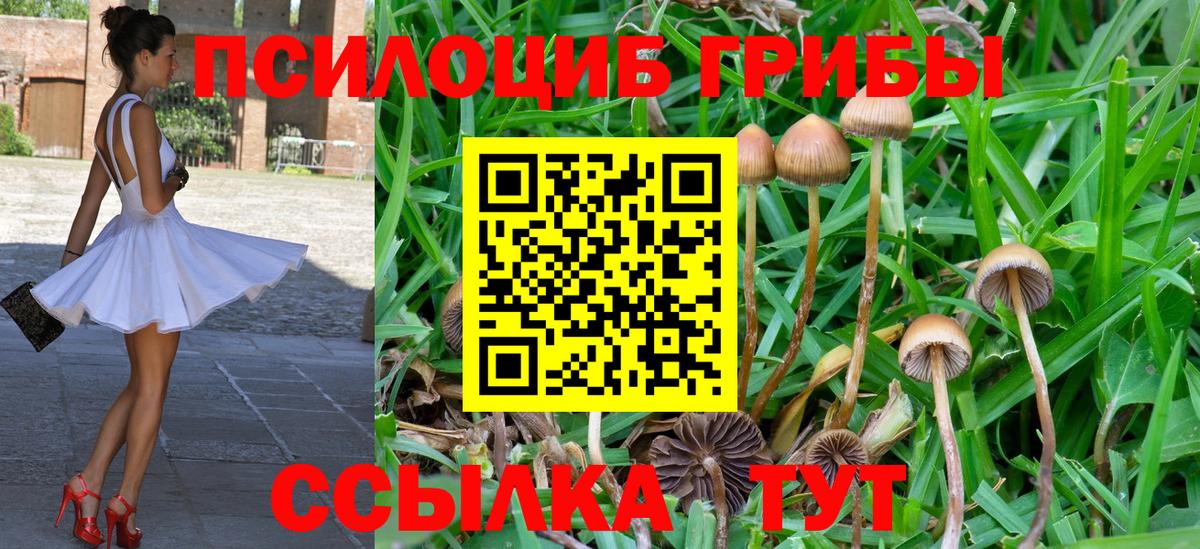 Бузулук  Галлюциногенные грибы Magic Shrooms  Вход с VPN 