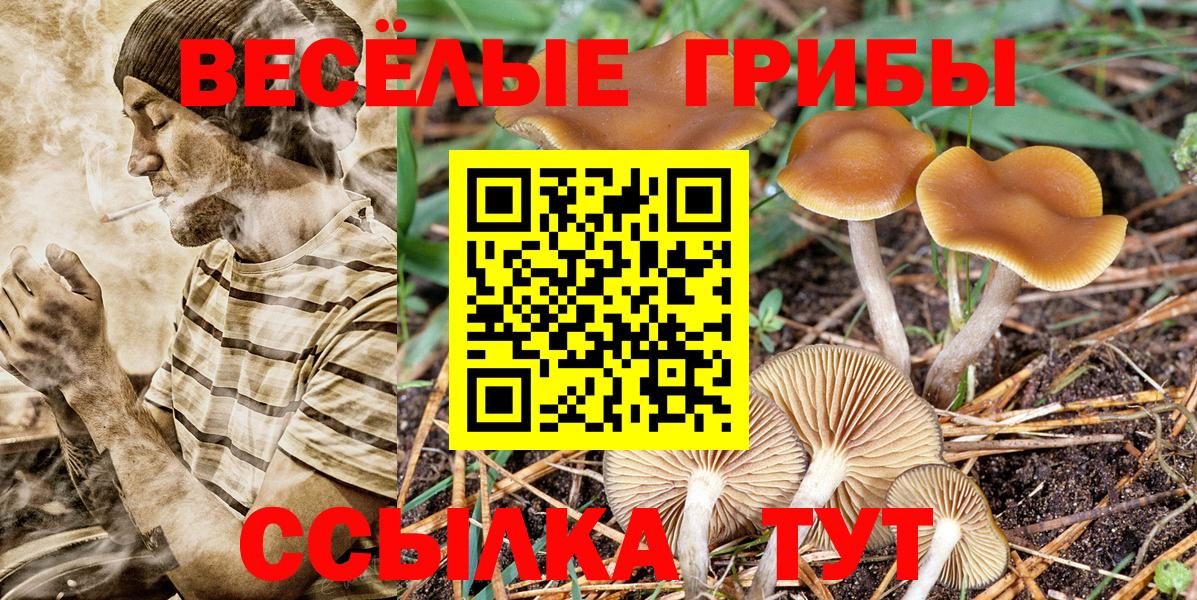 Псилоцибиновые грибы Cubensis  Галлюциногенные грибы GOLDEN TEACHER  Бузулук 
