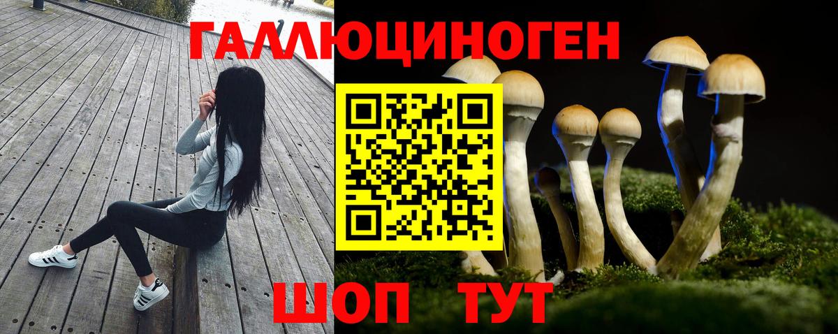 Псилоцибиновые грибы Psilocybine cubensis Бузулук